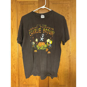 Vintage Peanuts Charlie Brown Great Pumpkin T-Shirt Medium